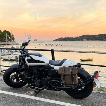 Seitenkoffer aus Spaltleder + Sportster S 1250 linker Rahmen