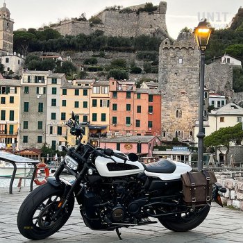 Seitenkoffer aus Spaltleder + Sportster S 1250 linker Rahmen