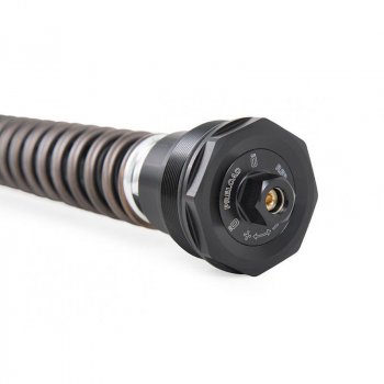 Öhlins Gabelkartusche NIX 30mm Street Indian FTR S (Sachs) SSS (2021-2023)