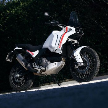 Paar Ducati DesertX Star White Silk Seitenverkleidungen + Aufkleber