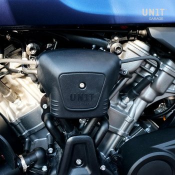 Pan America 1250 Kühler-Seitenschutz