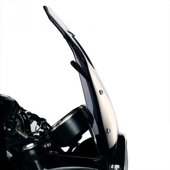 Windschutzscheibe mit GPS-Unterstützung Bonneville T100 (ab 2017)