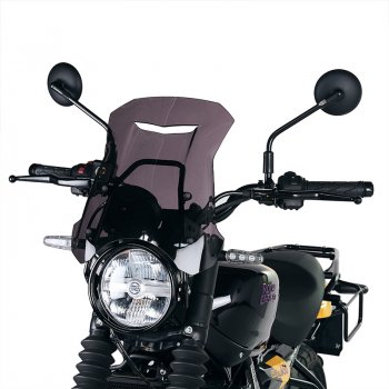 Bildschirm mit GPS-Unterstützung Royal Enfield Guerrilla 450