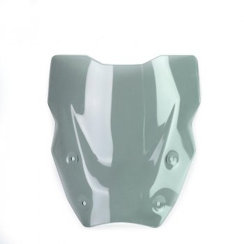 L-Bildschirm mit Radar BMW R1300GS (ab 2023)