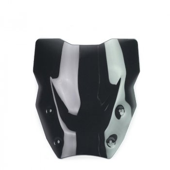 L-Bildschirm mit Radar BMW R1300GS (ab 2023)