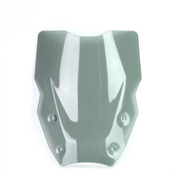 XL-Bildschirm mit Radar BMW R1300GS (ab 2023)