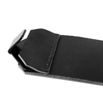 HD Sportster S Tankband