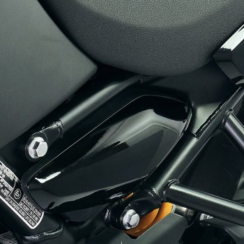 Royal Enfield Himalayan 450 Seitenteile in glänzendem Schwarz (ab 2024)