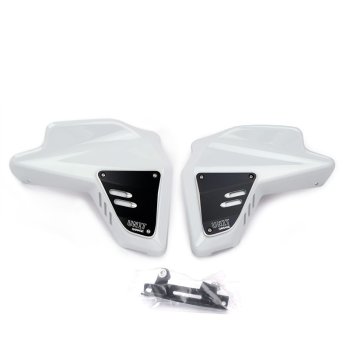 BMW R12 G/S Kühlerseitenverkleidungen