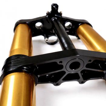 Ténéré 700 RXF 48 Gabel komplett mit Platten