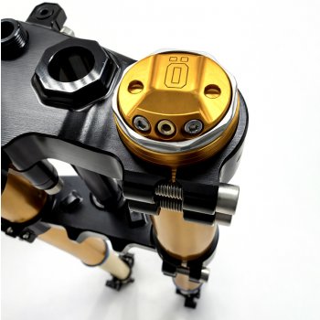 Ténéré 700 RXF 48 Gabel komplett mit Platten