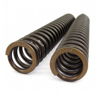 Gabelfedern Ohlins MT 09