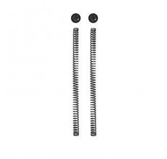 Öhlins-Kit mit 2 Kappen und 2 Gabelfedern Royal Enfield Himalayan 450 (2024)