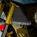 BMW F450GS Kühlerschutz