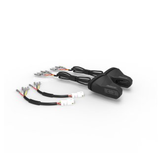 Royal Enfield Blinker Markhor Hinten 3in1 (paar)
