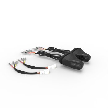Royal Enfield Blinker Markhor Hinten 3in1 (paar)